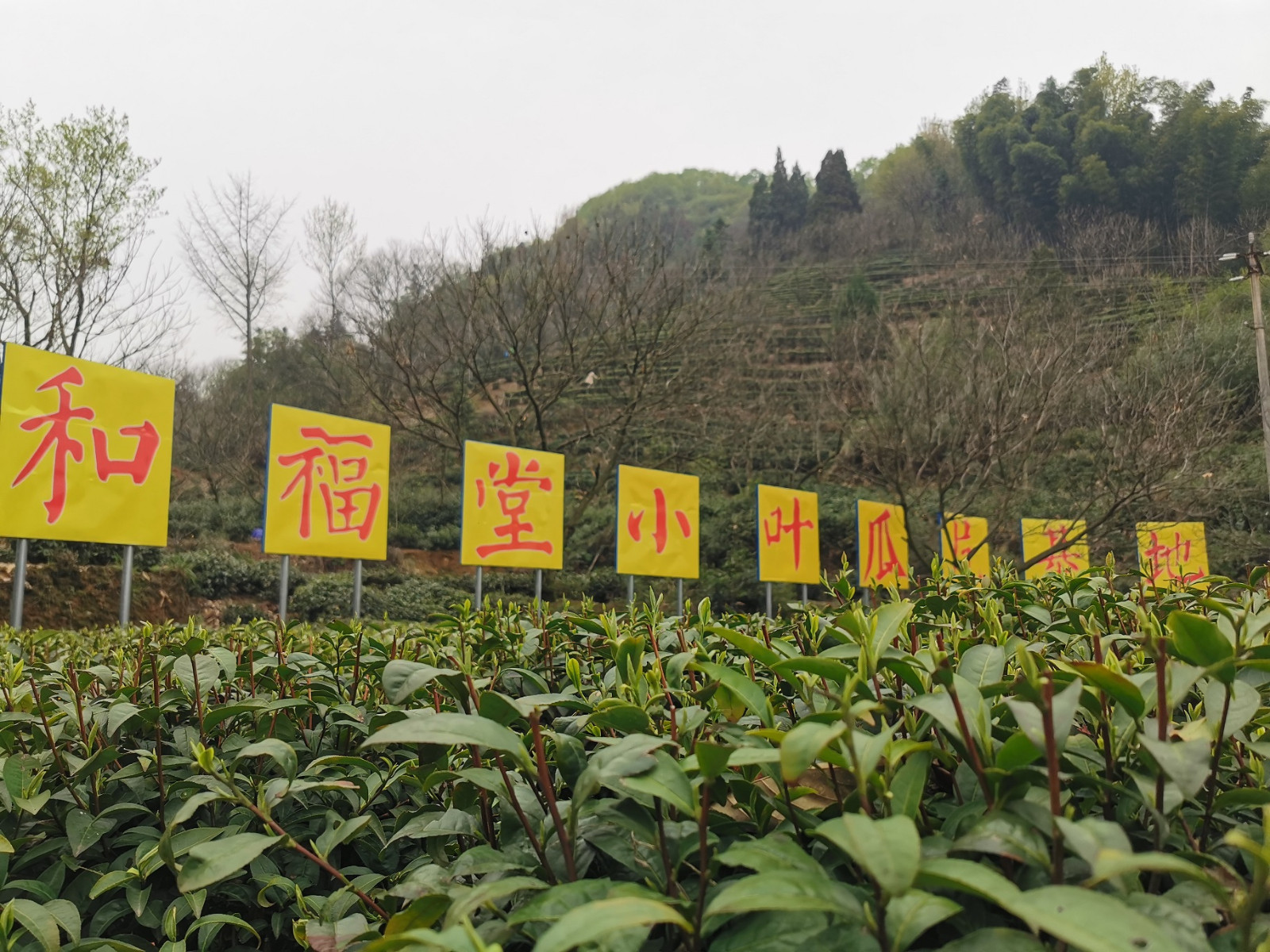 1680597468708103.jpg (新闻稿官网)ag百家乐会长黄竞仪赴皖调研222.jpg