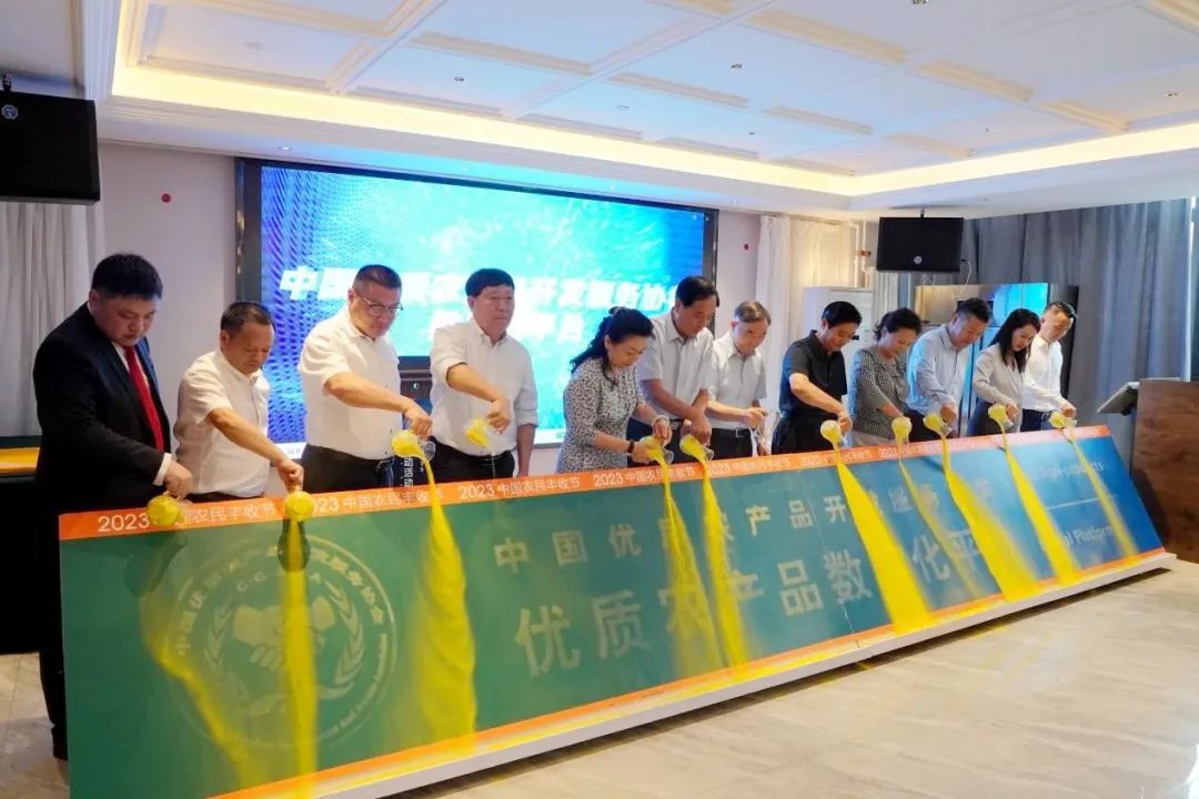 1694223784179878.jpg 640.jpg