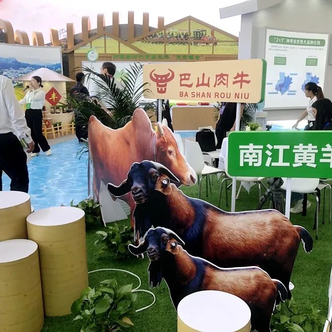 1694782992284140.jpg 640.jpg