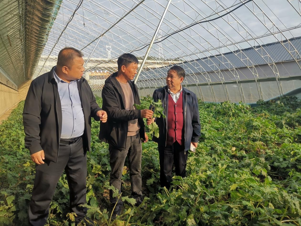 1697790790930895.jpg 图片1.jpg